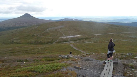 Utsikt mot Städjan i norra Dalarna.